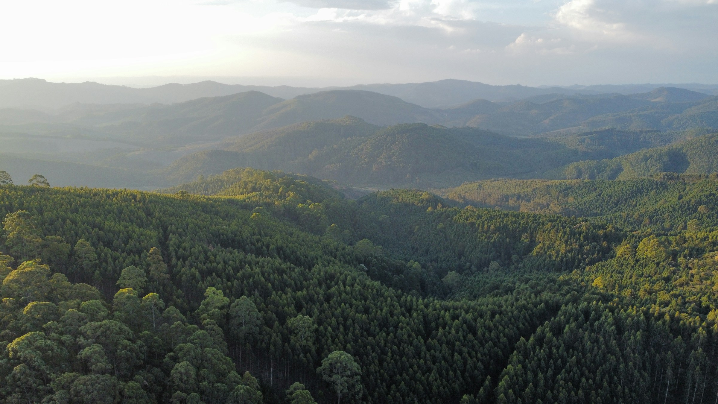 Paisagem natural com relevo e vegetação